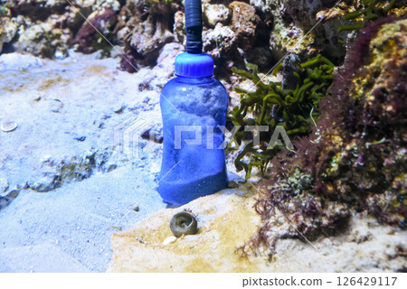 Close-up of an aquarium sand cleaner device used to remove debris from the substrate. Equipment standing upright in marine tank among algae and rocks 126429117