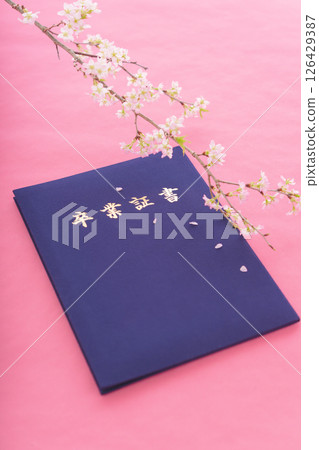 文憑和櫻花 126429387