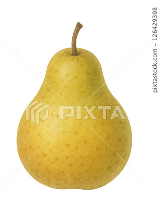 牛蒡插圖水彩畫 牛蒡插圖水彩畫 126429398