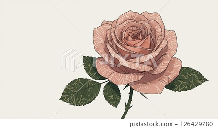 美麗的玫瑰,圖案精緻,背景為鮮奶油色 美麗的玫瑰,圖案精緻,背景為鮮奶油色 126429780