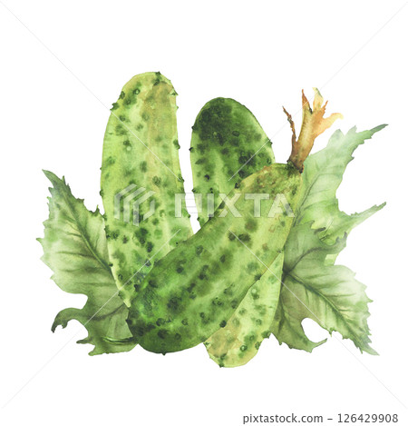Prickly cucumbers with leaves and buds. Watercolor illustration hand drawn Botanical green vegetable harvest. Realistic plant isolated from background for farm food label, eco market, seed packaging. 126429908