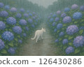 下雨天，一隻白貓沿著繡球花小徑行走 126430286