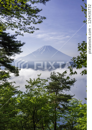 從本棲湖畔俯瞰富士山和倒富士山 126430732