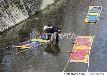 Cherry blossoms, Iwakura City, Cherry Blossom Festival, Gojo River, Aichi Prefecture 126430791