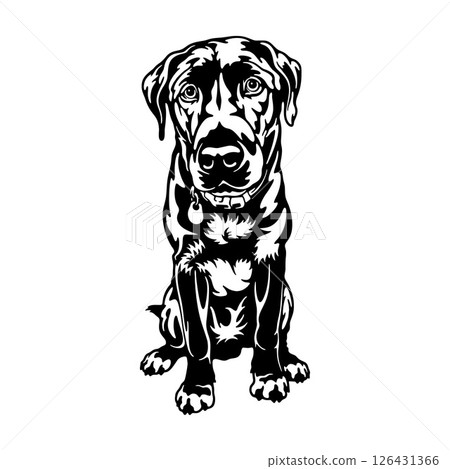 Labrador Retriever Dog Breed - Pet Vector Cut file, Dog Silhouette Stencil - Cricut file Labrador Retriever Dog Breed - Pet Vector Cut file, Dog Silhouette Stencil - Cricut file 126431366