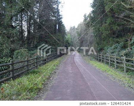 東京郊區的一條路。行人專用道路。 126431424