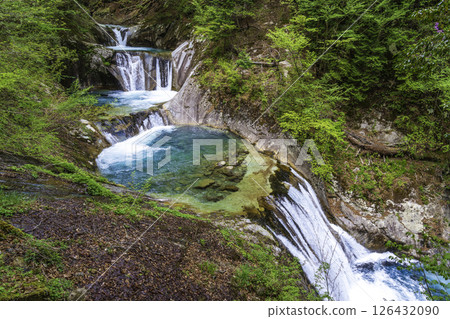 Fresh greenery in Nishizawa Valley Nanatsugama Godan Falls 126432090