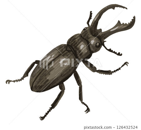 手繪向量圖的雄鹿甲蟲 126432524