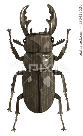 手繪向量圖的雄鹿甲蟲 126432526