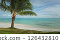 Green palm tree leaves swaying gently in the wind on a beautiful white sand beach with turquoise water and blue sky creating a perfect tropical paradise. Exotic travel vacation getaway. Static shot Green palm tree leaves swaying gently in the wind on a beautiful white sand beach with turquoise water and blue sky creating a perfect tropical paradise. Exotic travel vacation getaway. Static shot 126432810
