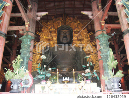 奈良公園 東大寺 大佛鹿 126432939