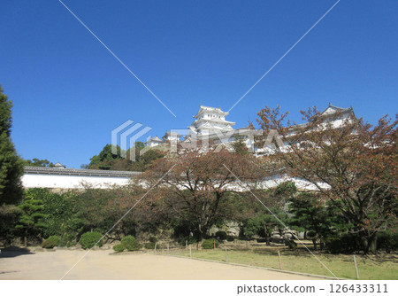 National Treasure and World Heritage Site Himeji Castle, Hyogo Prefecture, Himeji City 126433311