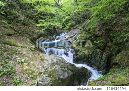 Nishizawa Valley blooms with fresh greenery in early summer 126434294