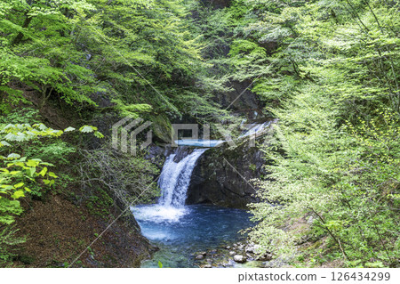 Nishizawa Valley blooms with fresh greenery in early summer Nishizawa Valley blooms with fresh greenery in early summer 126434299