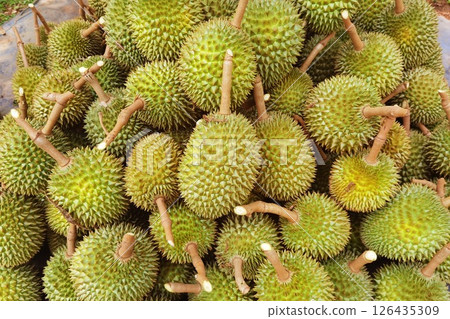 Top view of durian fruit  126435309