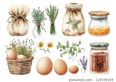 Colorful illustration of eggs, herbs, jars, and natural ingredients for culinary design projects 126436304
