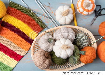Green and orange knitting balls, orange pumpkins, striped scarf in a basket with knitting needles on wooden blue background. Set for the hobby of knitting warm clothes or toys. Concept needlework Green and orange knitting balls, orange pumpkins, striped scarf in a basket with knitting needles on wooden blue background. Set for the hobby of knitting warm clothes or toys. Concept needlework 126436346