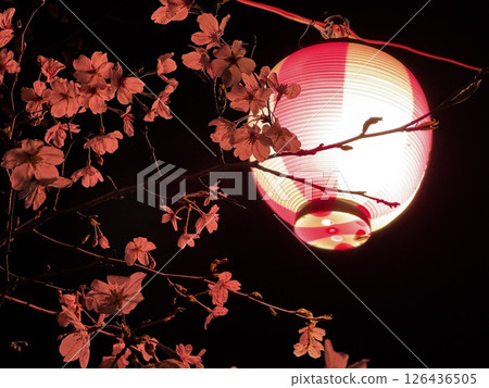 紙燈籠 126436505