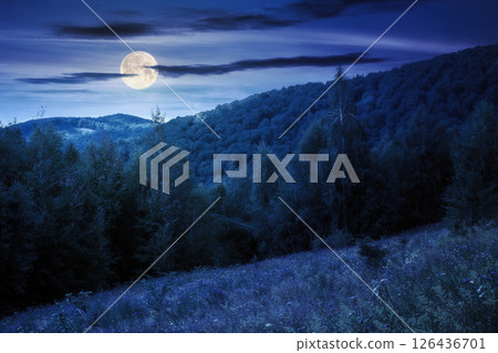 landscape with forest on the hill in summer at night. natural background for outdoor adventure and travel. picturesque carpathian woods in full moon light 126436701