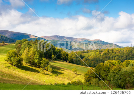 scenery with trees on the hill in dappled light. forested mountain landscape in autumn season. majestic borzhava ridge in the distance under cloudy sky scenery with trees on the hill in dappled light. forested mountain landscape in autumn season. majestic borzhava ridge in the distance under cloudy sky 126436705