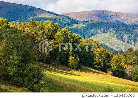 scenery with trees on the hill in dappled light. hilly volovets district of transcarpathia. gorgeous borzhava ridge in the distance under cloudy sky 126436706