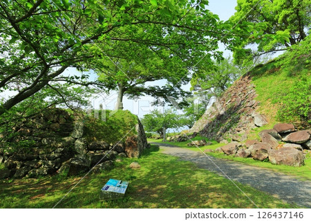 【佐賀縣】晴天的名古屋城、大手道遺址 【佐賀縣】晴天的名古屋城、大手道遺址 126437146