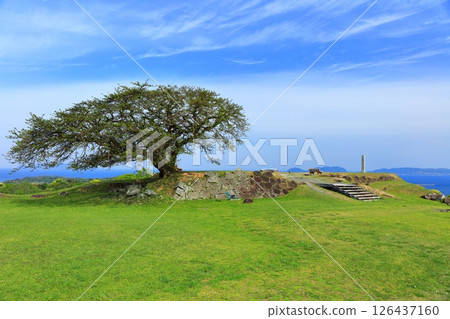 [Saga Prefecture] Nagoya Castle on a clear day 126437160