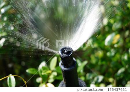 Sprinklers Sprinklers 126437631