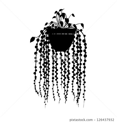 Silhouette of a hanging potted String of Pearls plant with cascading string-like vines, in a minimal monochrome graphic style, isolated on a white background 126437932