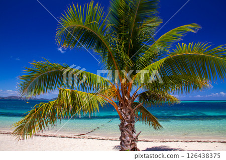 South Beach on Mana Island, Mamanuca Islands, west of Viti Levu, Republic of Fiji, Oceania South Beach on Mana Island, Mamanuca Islands, west of Viti Levu, Republic of Fiji, Oceania 126438375