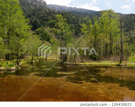 Clear waters of Tashiro Pond | The tranquil nature of Kamikochi 126438623