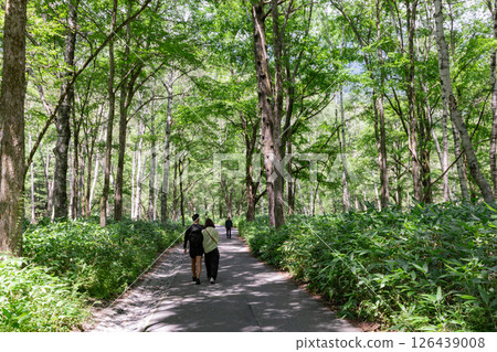 <Nagano> Kamikochi hiking 126439008