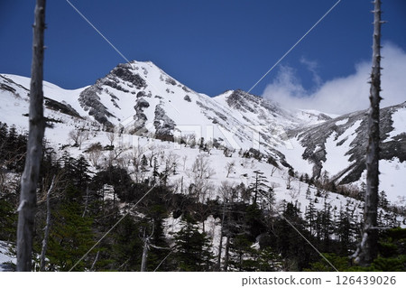 View of Mt. Marishiten from around the 7.5th station on a ski trip from the Ontake Ropeway in spring 126439026