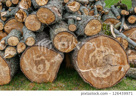 Pile of cut firewood logs and chopped tree trunks, seasoning heating fuel. High quality photo 126439971