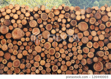 木材場、間伐材、臨時存放、堆放 木材場、間伐材、臨時存放、堆放 126440003