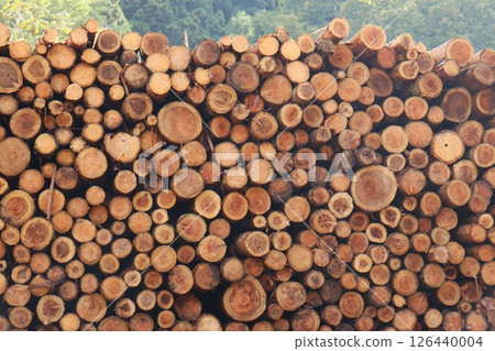 木材場、間伐材、臨時存放、堆放 126440004