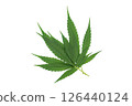 Green cannabis leaves on a white background. 126440124