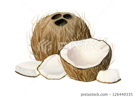 Coconuts hand drawn watercolor illustration isolated on white. Whole, half and small tropical fruit pieces clip art. Summer beach bar and organic vegan food design 126440335