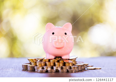 Saving money through wise investments in various currencies can contribute to economic growth and financial success. save, money, saving, coin, currency, economy, finance, growth, investment, success 126441117