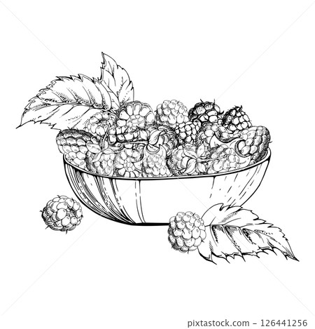 Raspberry berries leaves served in glass bowl, ripe picked garden dewberry cloudberry mulberry tayberry boysenberry harvest. Isolated illustration hand drawn in vector ink. Farmers market preserves 126441256