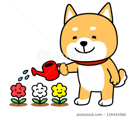Shiba Inu watering flowers with a red watering can 126442066