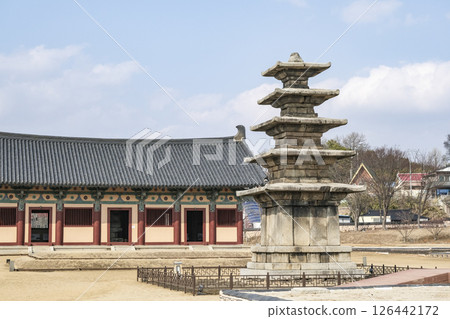 被稱為韓國石塔始祖的定林寺遺址五層石塔 126442172