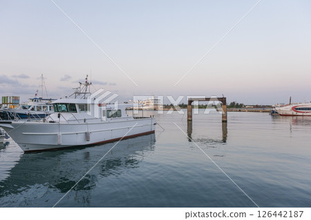 Ishigaki Port in the early morning, with many cruise ships and ferries anchored 126442187
