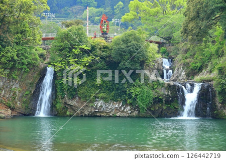 【佐賀縣】等等力道瀑布的新綠色（等等力瀑佈公園） 126442719