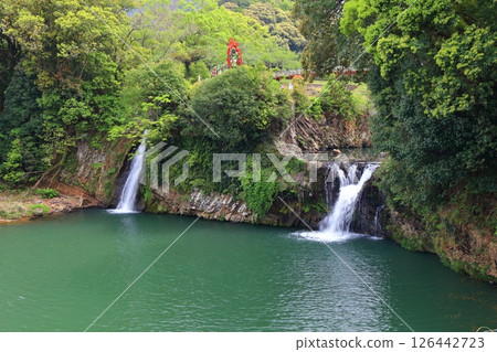 【佐賀縣】等等力道瀑布的新綠色（等等力瀑佈公園） 126442723