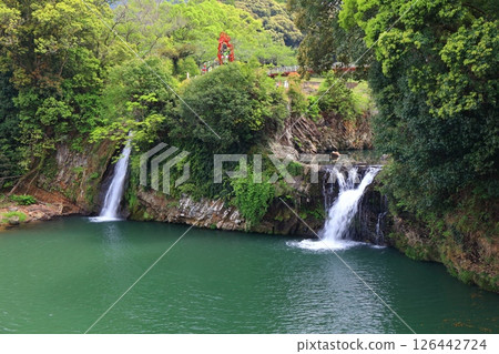 【佐賀縣】等等力道瀑布的新綠色（等等力瀑佈公園） 126442724