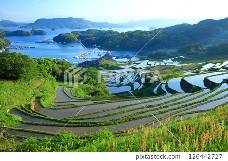 【佐賀縣】晴天的大浦梯田 【佐賀縣】晴天的大浦梯田 126442727