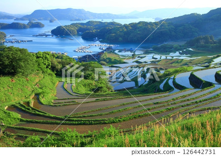 【佐賀縣】晴天的大浦梯田 【佐賀縣】晴天的大浦梯田 126442731