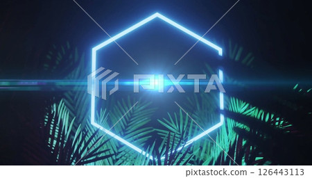 Image of neon hexagon and leaves on black background 126443113