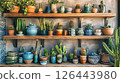 Shelves with cacti, pottery, and decorative pieces. 126443980